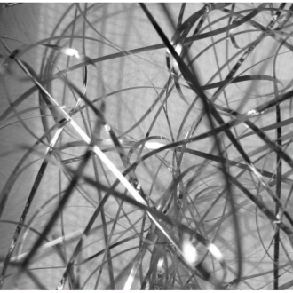 非晶納米晶在各種磁芯形狀中的磁滞損耗變化